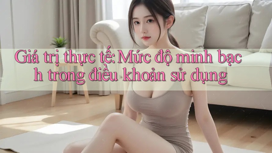 Giá trị thực tế: Mức độ minh bạch trong điều khoản sử dụng Giá trị thực tế: Mức độ minh bạch trong điều khoản sử dụng