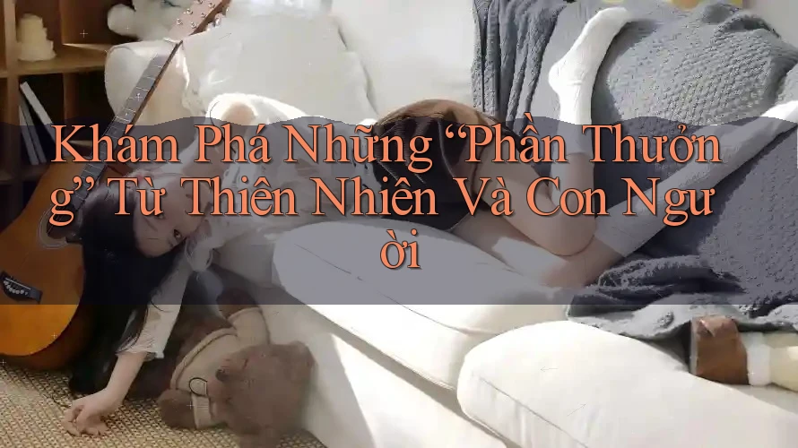 Khám Phá Những “Phần Thưởng” Từ Thiên Nhiên Và Con Người Khám Phá Những “Phần Thưởng” Từ Thiên Nhiên Và Con Người